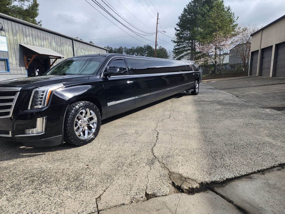 PHOTO-2025-03-18-20-12-11 (1)